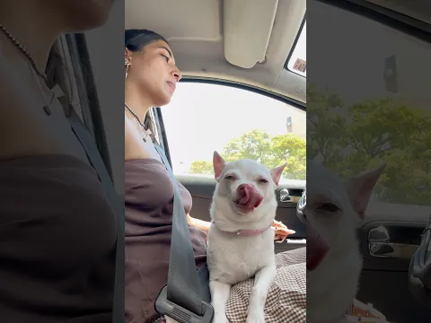 Niki called shotgun🤣🤣😱
