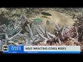 Unprecedented high water temps at Florida beaches dangerous to coral reefs