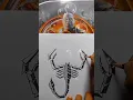 How to draw a Scorpion How to Draw a 3D Scorpion Drawing 3D Scorpion logo Easy Drawing tutorial