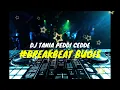 Download Lagu DJ-TANIA PEDDI CEDDE #BREAKBEAT-BUGIS VIRAL 2022
