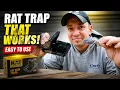 Easy to Use - Kat Sense Rat Traps Review link in Description