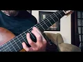 Everybody Told Me - The Linda Lindas (Guitar Cover).