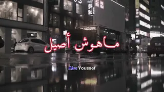 اوعي تزعل لو زرعت جميل  احمد شيبه دندنها