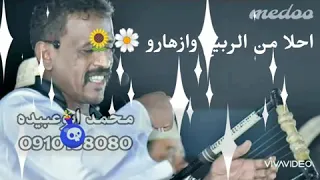 محمد النصري حالات واتساب اماني قمه الروعه 