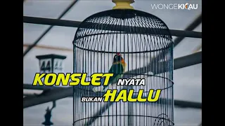 Download Asli KONSLET nyata, bukan HALLU (Srikandi Cup 1) - LB Den Hallu MP3