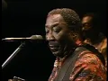 Muddy Waters - Baby Please Don't Go - ChicagoFest 1981