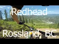 Redhead - Rossland BC