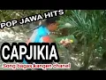 Download Lagu CAPJIKIA - BAGAS KANGEN LAGU JAWA 2021 MUSIK JAWA HITS.official vidio lirik