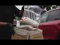 Fake pills flooding the country targeting teens Dr Laura Berman pushing for changes after young s