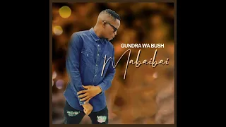 01 gundra wa bush ngilimele