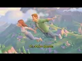 BUNT., The Temper Trap - What If You Fly (Sweet Disposition) [Visualizer]