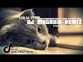 Download Lagu DJ MAGADIR REMIX MIMOMIX VIRAL TIKTOK !!!