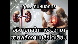 ไตทำหน้าที่สร้างน้ำตาลได้อย่างไรในช่วงที่อดอาหาร