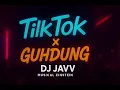 Lagu DJ JAVV - TIK TOK x GUH DUNG RMX