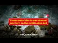 BNXN - PHENOMENON (LYRICS)