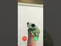 Download Lagu Phone call from frog