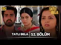 Download Lagu Tatlı Bela Hint Dizisi  | 53. Bölüm @kanal7