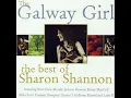 Sharon Shannon, Dessie O'Halloran, Damien Dempsey and Mundy - Courtin' in the Kitchen