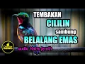 Download Lagu TEMBAKAN CILILIN KONIN GACOR FULL ISIAN DENGAN VARIAN NEMBAK BELALANG EMAS PAS UNTUK PANCINGAN BAHAN
