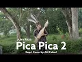 Download Lagu Pica Pica 2 - Juan Reza (Sape' Cover by Alif Fakod)