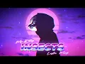 Mr Kitty - Insects Synthwave Cover by Leslie Mag