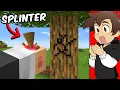 Download Lagu I Hired a Professional Developer to Ruin Minecraft