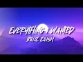 Download Lagu Billie Eilish - Everything I Wanted (1 Hour Version)