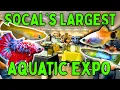 Inside California s Biggest Aquarium Expo Here s What I Found