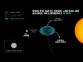 How Are Ocean Tides Formed Spring Neap Diurnal Tides and More