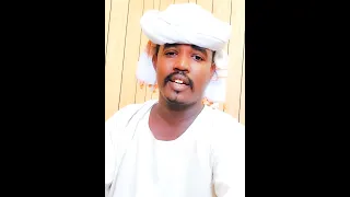 الشاعر علاء الدين ود الكنان كرنفات قوات درع السودان 