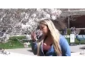 Springtime on Campus at UNR