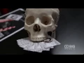 The Piercing Urge Piercing Shop Melbourne for Body Piercing Tattoo and Scarification