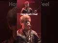 Download Lagu AMBROSIA * LIVE!! How Much I Feel @musicUcansee #musicucansee  #livemusic #music #ambrosiaband
