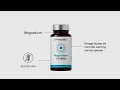 Download Lagu Maak kennis met OPTAMINS en ervaar specialistische supplementen van apothekerskwaliteit.
