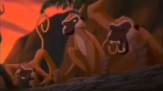 اغنيه الاسد الملك مخادع غدار  اغنيه الاسد الملك مخادع غدار