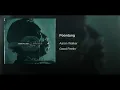 Poontang - T-Bone Walker