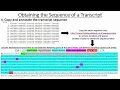 Retrieving Gene Promoter Sequences