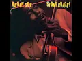 Buddy Guy CD Stone Crazy