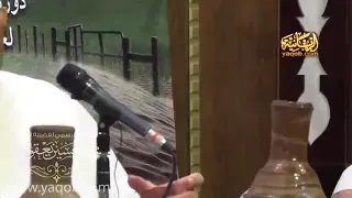 الهوى لا يدخل إلا على ناقص الشيخ محمد حسين يعقوب 