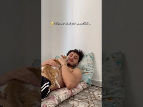 انتو شوفولي هل قعدة 😂😭🤣🤣😂😭 #روناس #اكسبلور #اعتني #قطط #اهميه