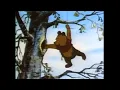 Download Lagu Winnie the Pooh - Little Black Rain Cloud