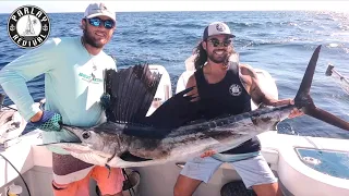 CATCHING SAILFISH IN FLORIDA USING KITES!!  – Episode 98