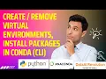 Virtual Environments through CLI Packages in Conda Environment