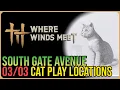 South Gate Avenue - All Cat Play Locations