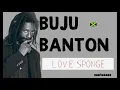 Buju Banton - Love Sponge (Reggae Lyrics provided by Cariboake The Official Karaoke Event)