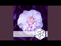 Download Lagu Camellia (radiobewerking)