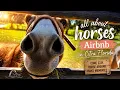 We Stayed at This Horse Ranch AirBnB and It Was Amazing