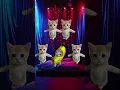 Official Chicago Banana Cat Music Video
