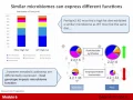 Analysis of Metagenomic Data Metatranscriptomics
