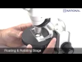 Microscopes 101 Stereo vs Compound